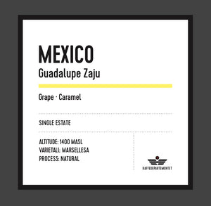 Mexico Guadalupe Zaju